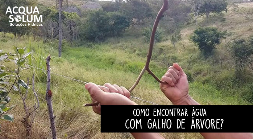 Como encontrar água com galho de árvore?